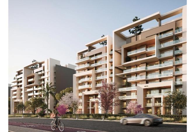 8411665 - Property Image 2