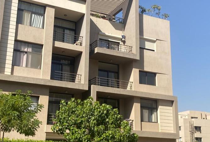 8135074 - Property Image 2