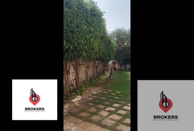 8312791 - صورة العقار 3