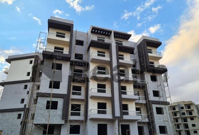 8243323 - Property Image 3