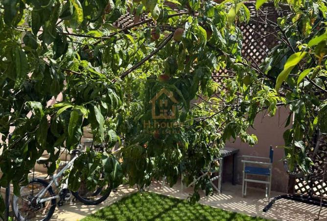 8163411 - الصورة الرئيسية للعقار