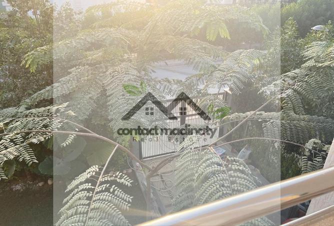 8197324 - Property Image 2