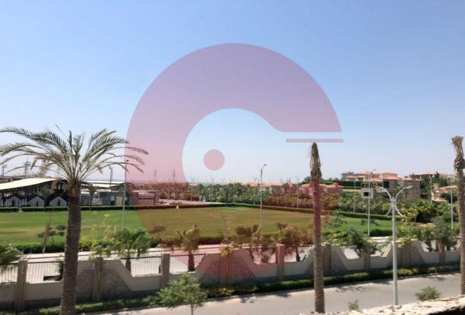 8249992 - Property Image 3