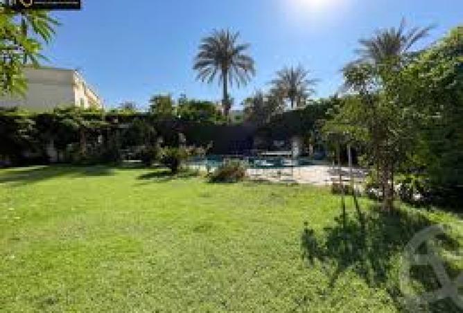 8423000 - صورة العقار 3