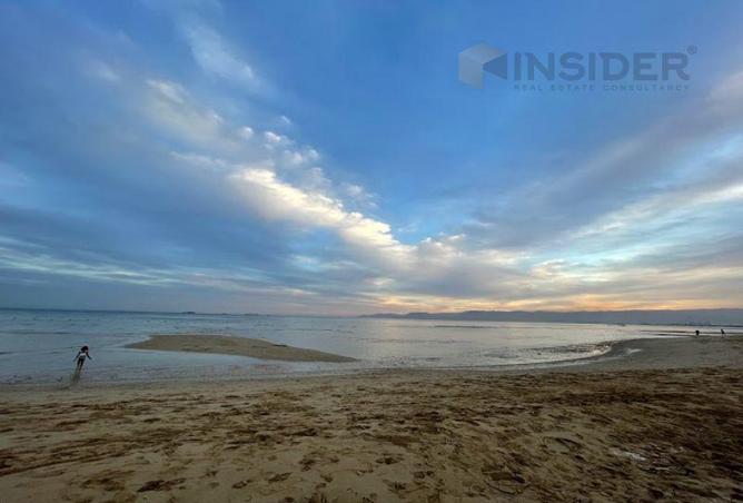 8087842 - Property Image 3