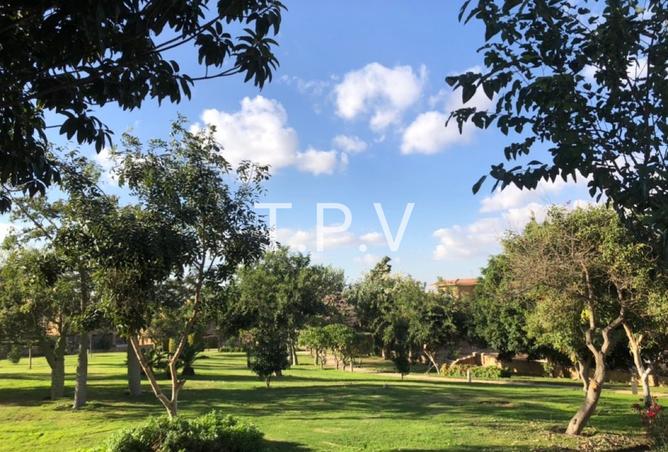 7897835 - صورة العقار 2