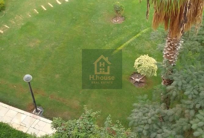 8280379 - صورة العقار 3