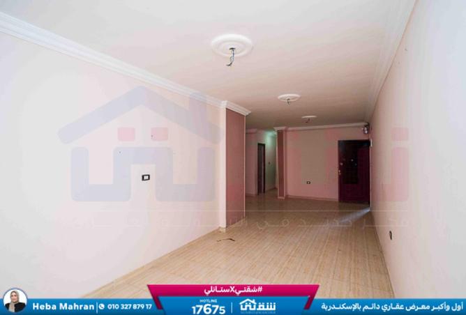 8551946 - Property Image 3