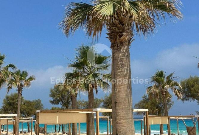 8053818 - صورة العقار 3