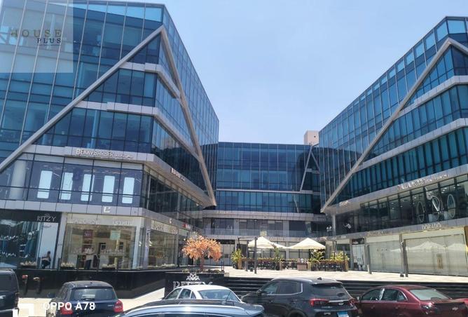 8193459 - Property Image 3