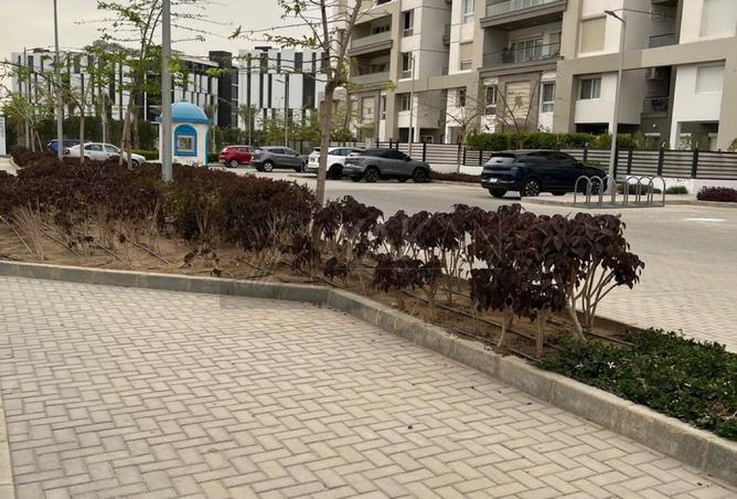 7948219 - Property Image 2