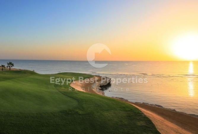 7904820 - صورة العقار 3