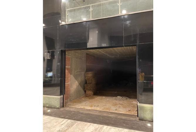 8206607 - الصورة الرئيسية للعقار