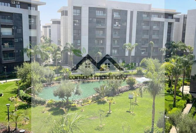 8196118 - صورة العقار 3