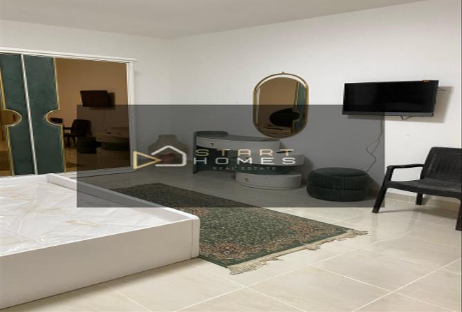 7991633 - Property Image 2