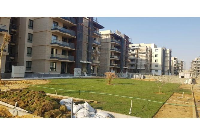 7969336 - صورة العقار 2