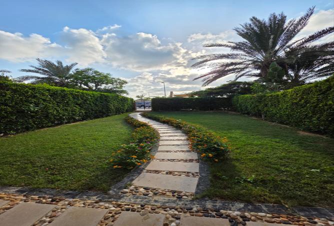 8469384 - صورة العقار 3