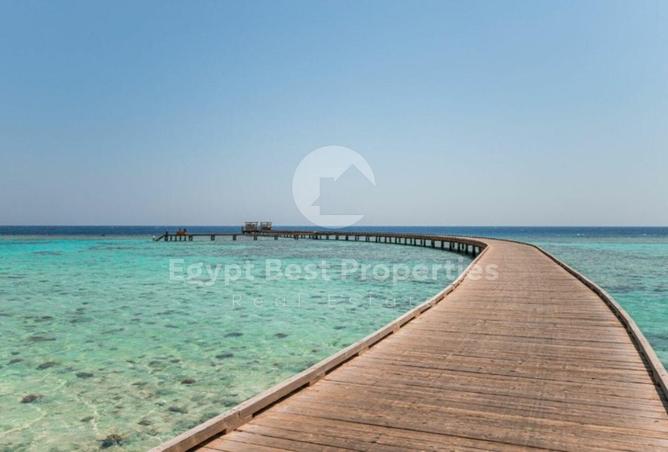 8069778 - Property Image 3