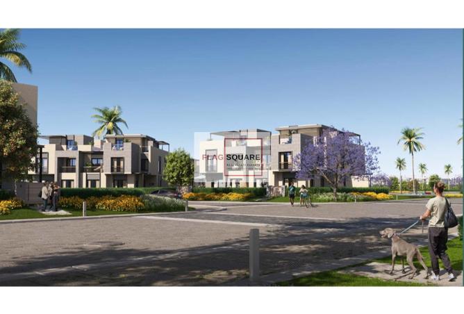 8035531 - Property Image 3