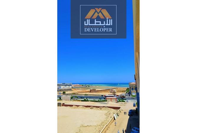 8035274 - Property Image 3
