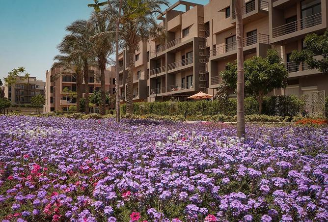 8047446 - الصورة الرئيسية للعقار