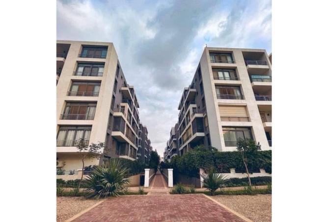 8406887 - Property Image 2