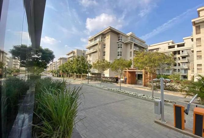 8491828 - Property Image 2