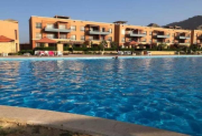 8460029 - Property Image 3