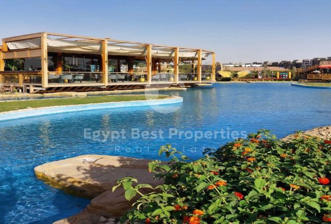 8401542 - Property Image 3