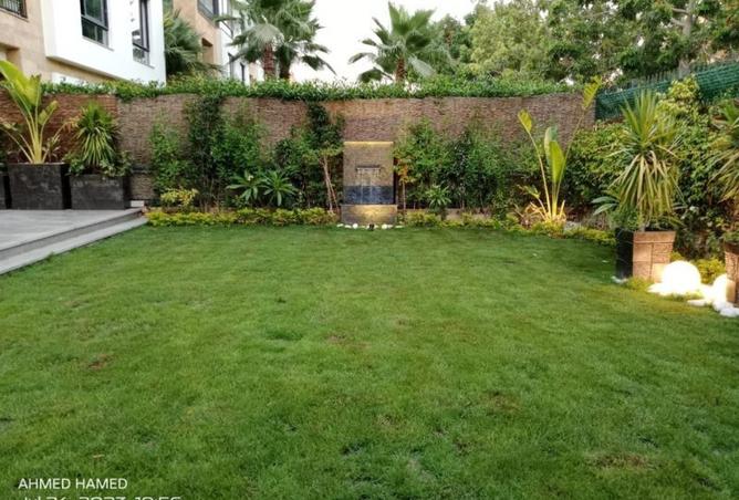 8249188 - Property Image 2