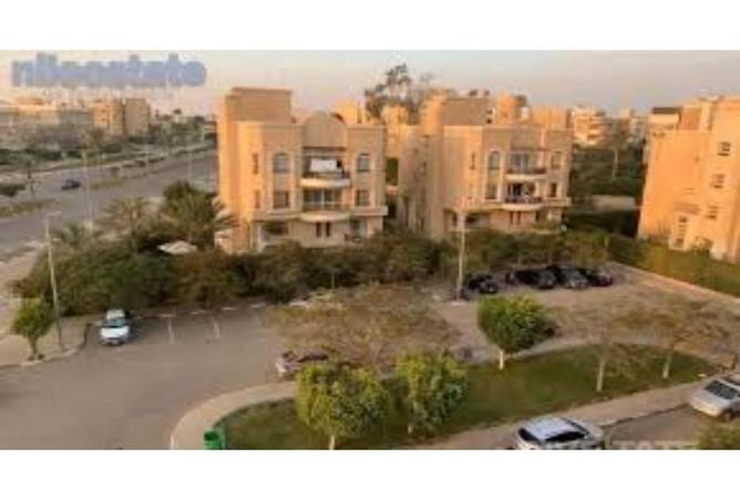 7972715 - صورة العقار 2