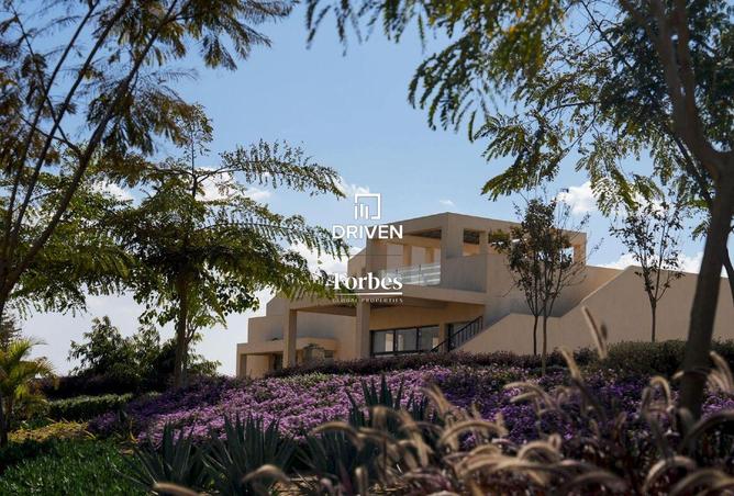 8065890 - صورة العقار 3