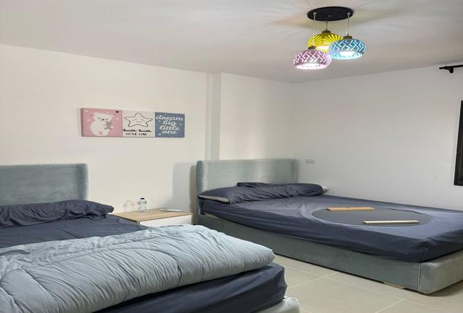 7979849 - Property Image 3