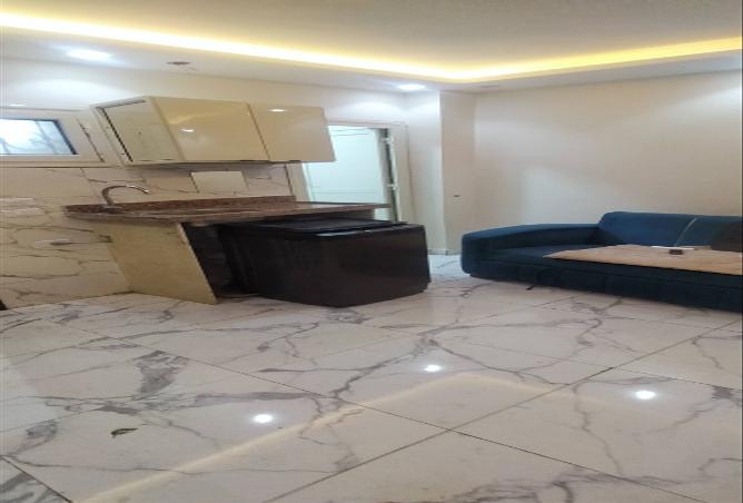 4733913 - صورة العقار 3