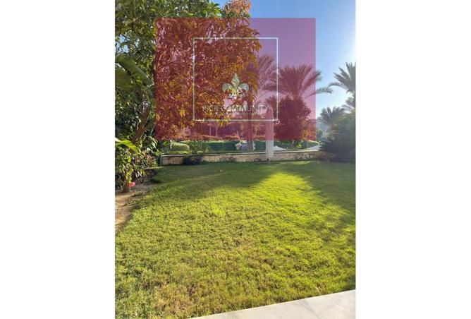 7948927 - صورة العقار 3