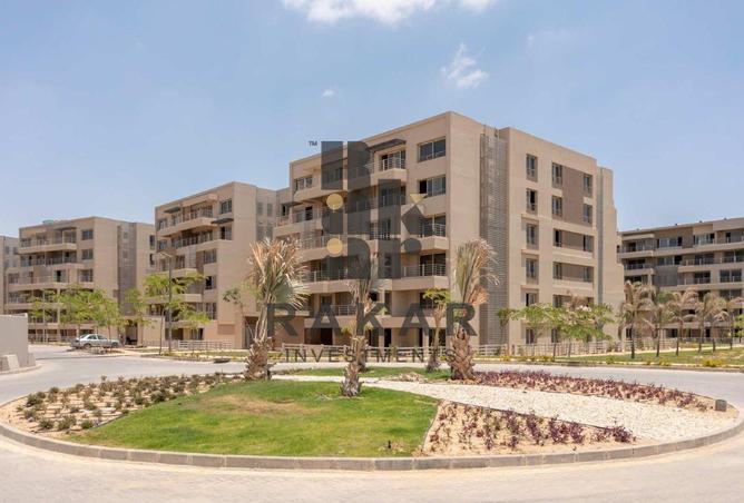 8217618 - Property Image 3