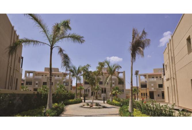 8033908 - صورة العقار 3