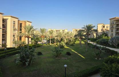 Apartment - 2 Bedrooms - 1 Bathroom for rent in El Rehab Extension - Al Rehab - New Cairo City - Cairo