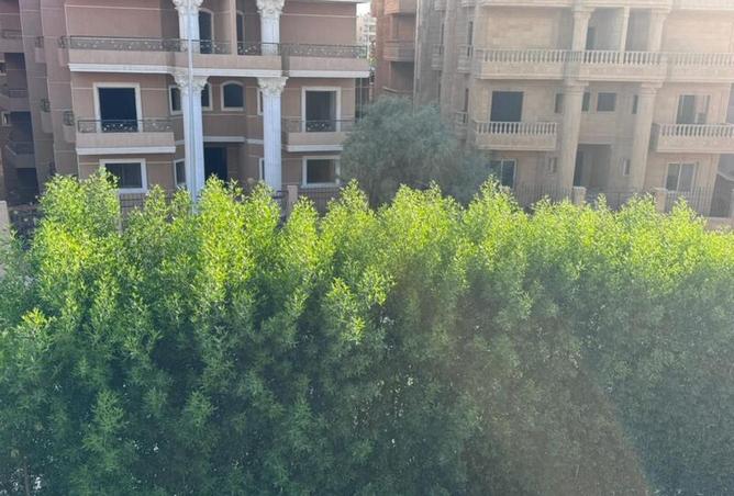 7920626 - صورة العقار 3