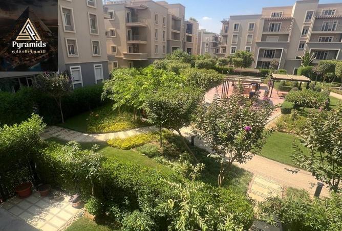 7952807 - صورة العقار 3