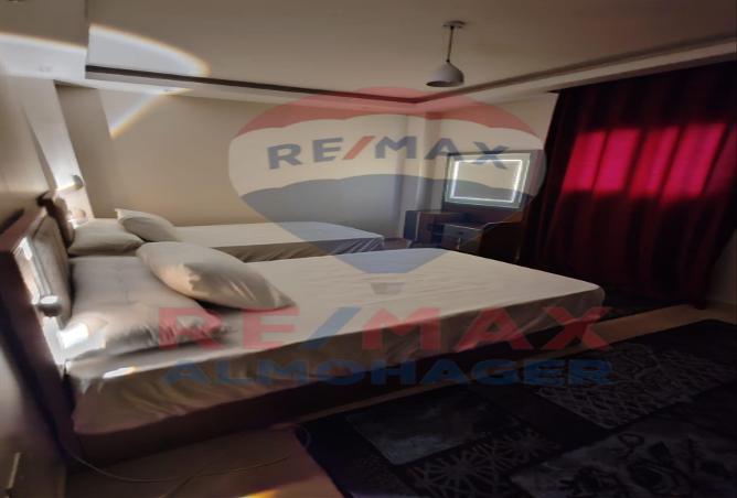 7983883 - Property Image 2