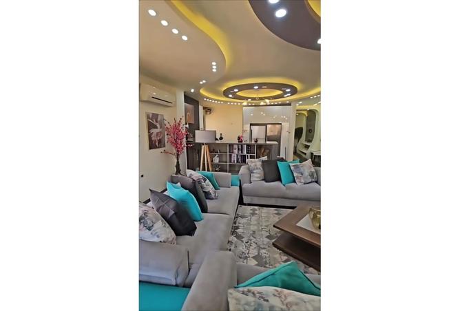 8043246 - Property Image 3