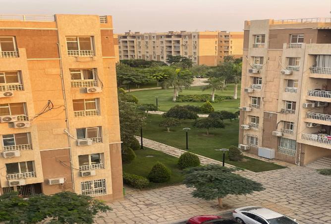 7988153 - صورة العقار 3