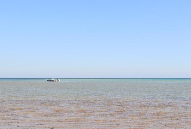 8557683 - صورة العقار 2