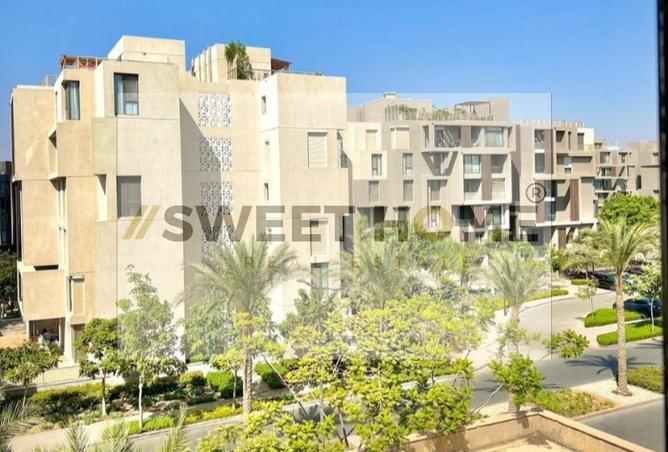 8331480 - Property Image 3