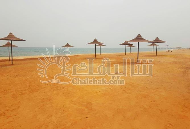 8263486 - صورة العقار 2