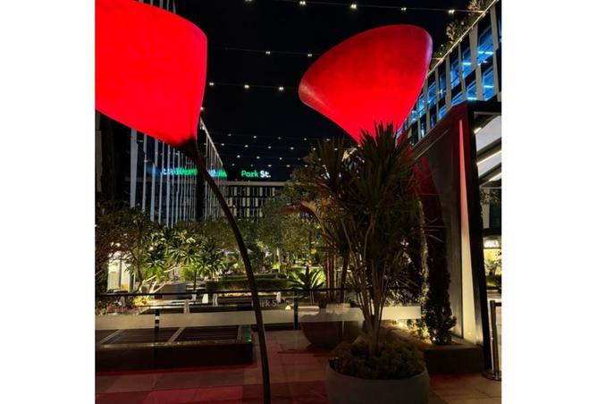 8382256 - Property Image 3