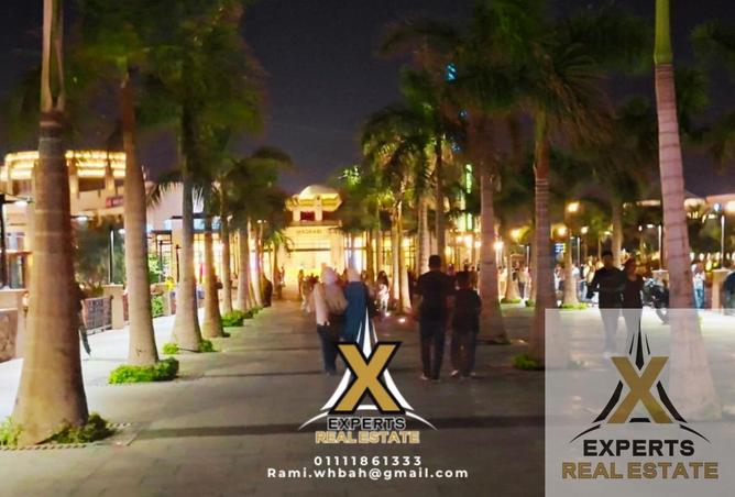 8264731 - Property Image 2