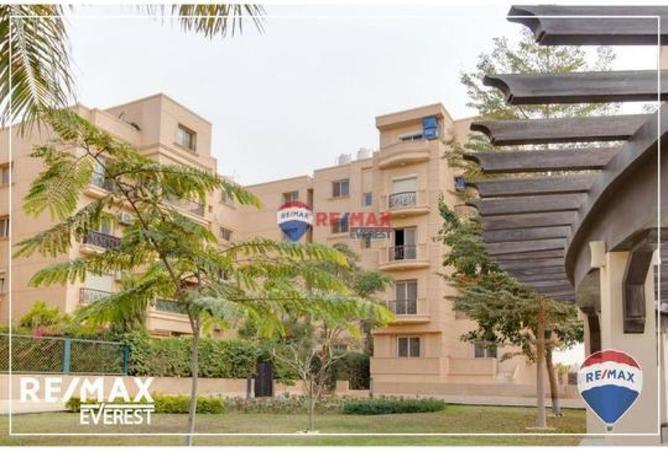 7927495 - Property Image 3