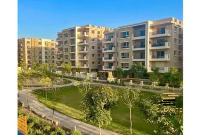 8089491 - Property Image 3
